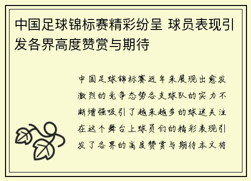 中国足球锦标赛精彩纷呈 球员表现引发各界高度赞赏与期待