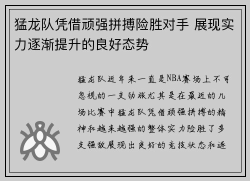 猛龙队凭借顽强拼搏险胜对手 展现实力逐渐提升的良好态势