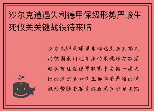 沙尔克遭遇失利德甲保级形势严峻生死攸关关键战役待来临