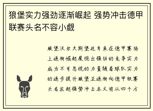 狼堡实力强劲逐渐崛起 强势冲击德甲联赛头名不容小觑
