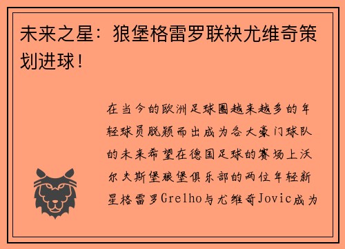 未来之星：狼堡格雷罗联袂尤维奇策划进球！